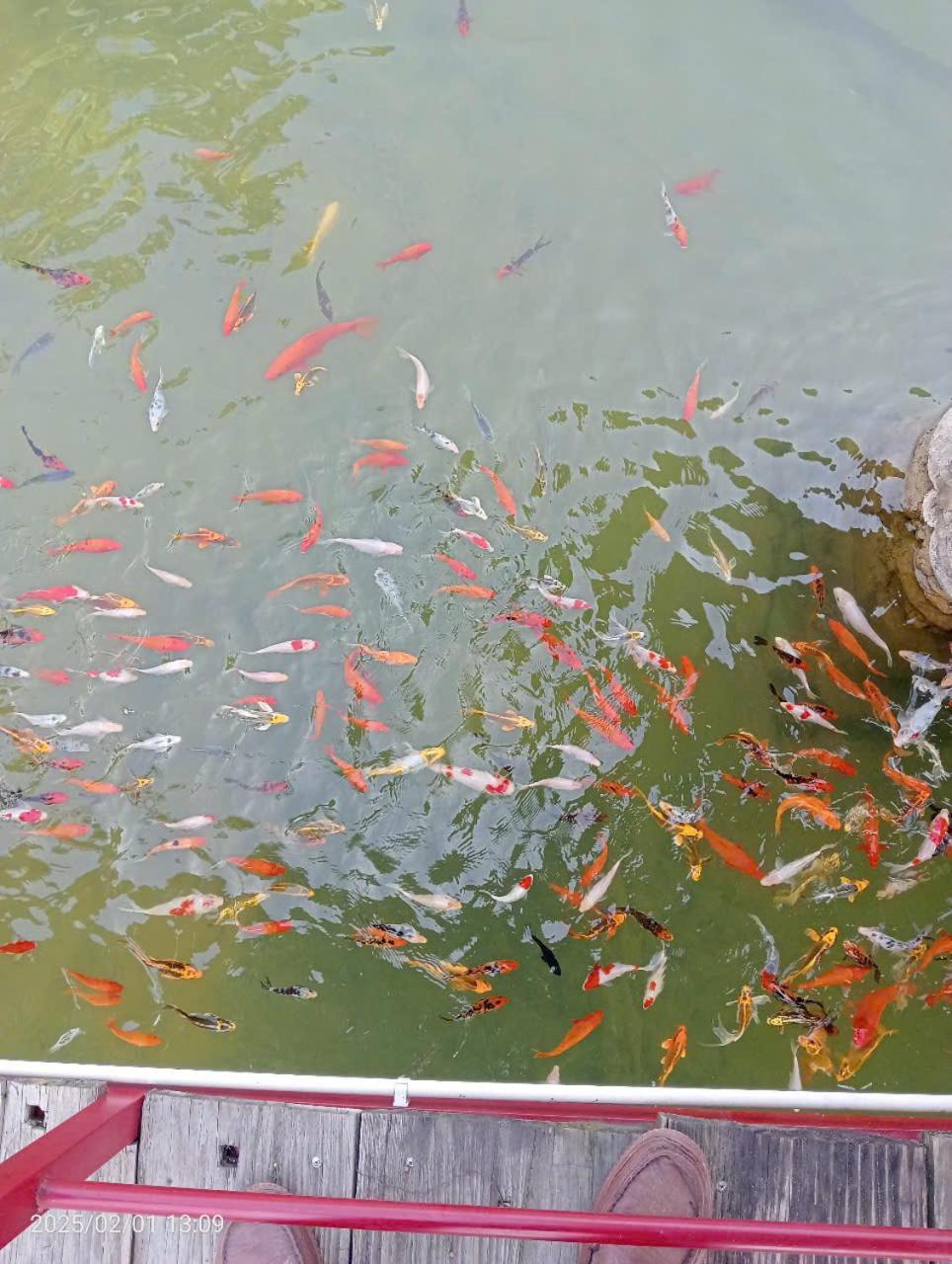 Homestay Suoi Khoang Minh Hang Yen Bai Exteriör bild